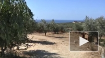 Трудолюбие и солнце: как живется на острове Крит