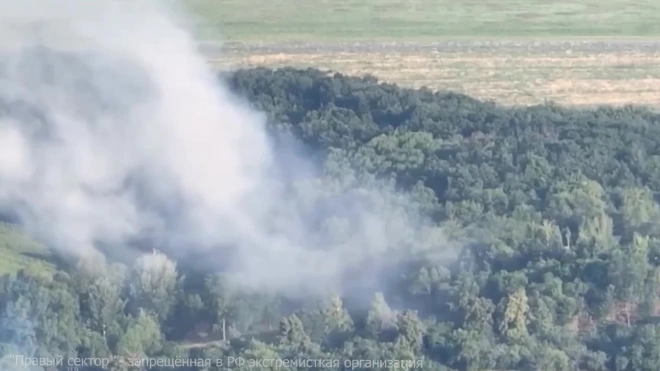 Минобороны РФ: российские военные уничтожили хранилища с боеприпасами в Одесской области