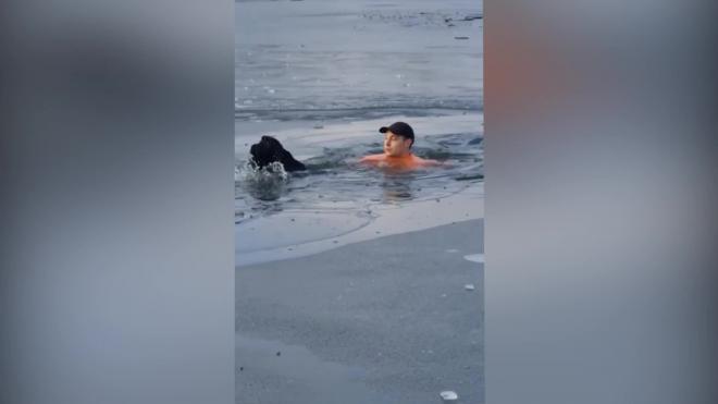 Бегун прыгнул в замерзшее озеро ради спасения чужой собаки