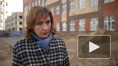 Сразу две новые школы появятся в Приморском районе Петербурга 