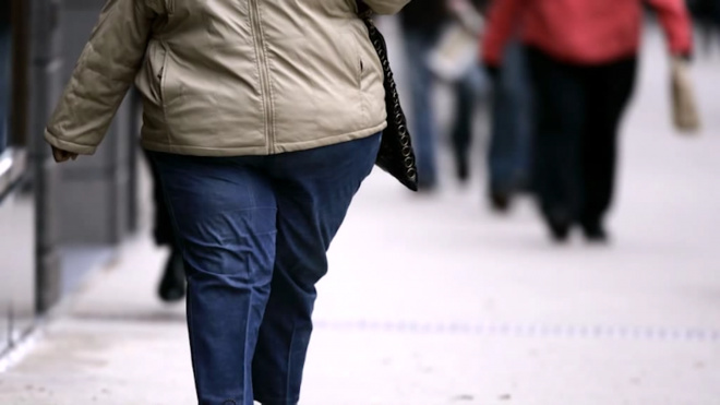 В России зафиксировали рост ожирения среди населения 