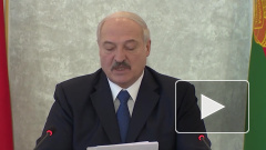Лукашенко отреагировал на критику мер борьбы с коронавирусом в Белоруссии