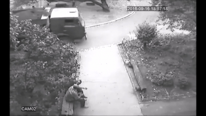 Дерево упало на женщину с ребёнком.
