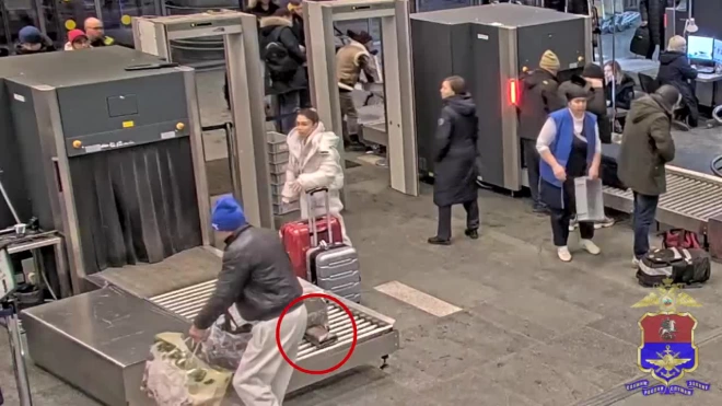 В аэропорту Внуково раскрыли кражу женской сумочки с рамок интроскопа