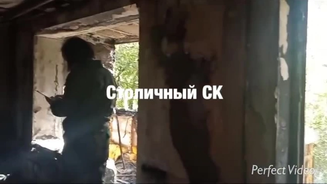 В Москве завели дело после гибели пенсионерки из-за поджога квартиры