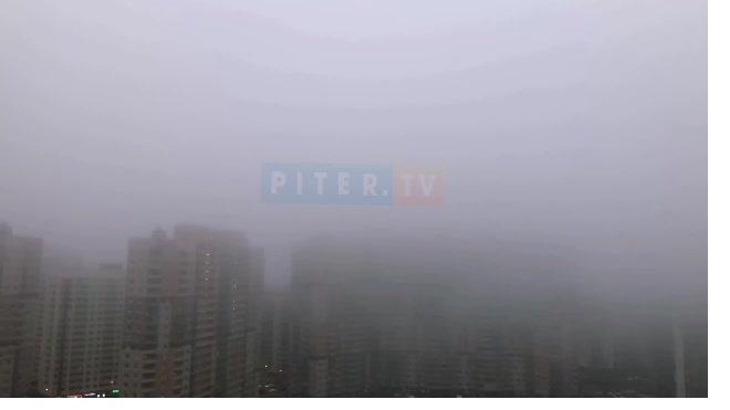 В Петербурге заметили густой туман 