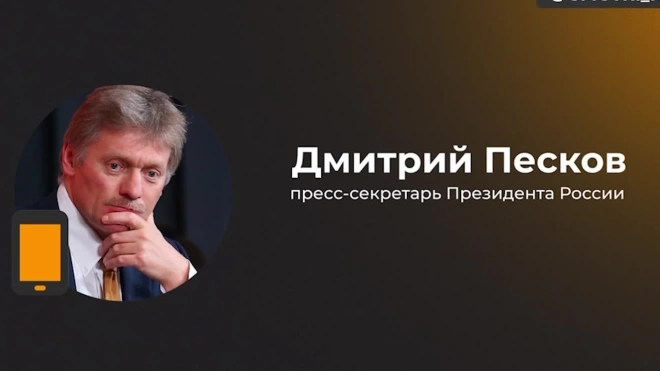 Песков ответил на слова Шольца о слежке за западным оружием на Украине