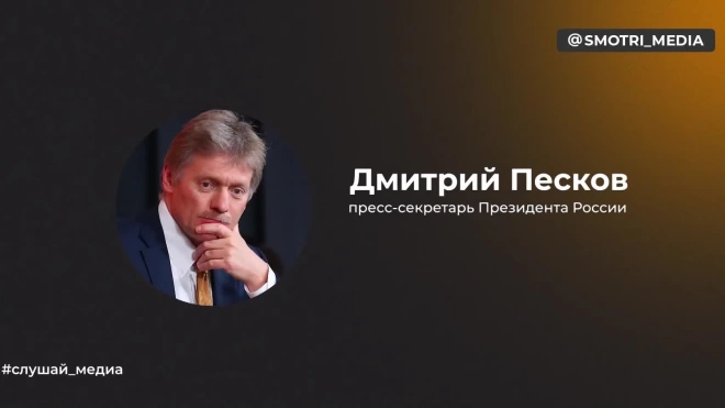 Песков назвал "данью людям, служащим своей стране" пышную встречу россиян во Внуково-2