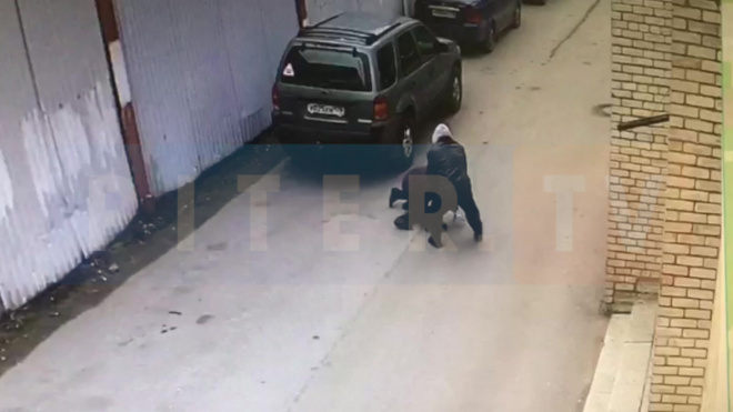Момент разбойного нападения на женщину на Рихарда Зорге попал на видео