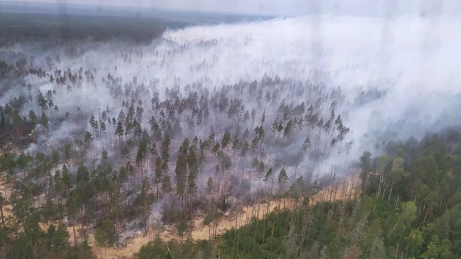 Пожар в Мордовском заповеднике перешел на территорию Сарова