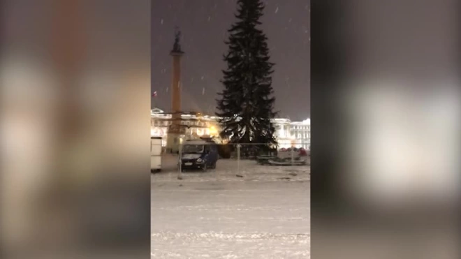 Ночью на Дворцовую площадь привезли новогоднюю ёлку
