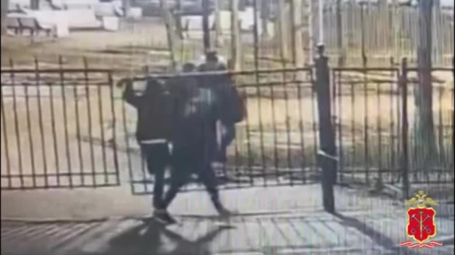 Избившие до смерти мужчину в саду Сан-Галли подростки заключены под стражу