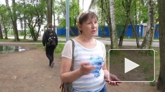 По свидетельствам очевидцев, фармацевтический миллиардер скупает голоса в Калининграде