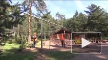 Модернизация электроосвещения в Петербурге 