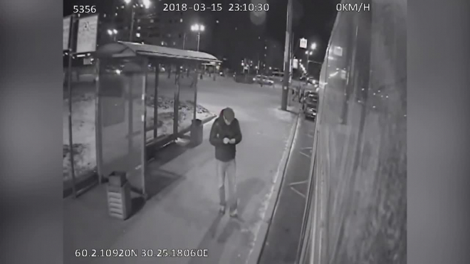 В Петербурге задержали маньяка из Сосновки