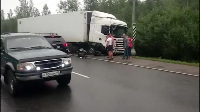 Водитель погиб после столкновения с грузовиком на "встречке" на трассе Петербург ― Псков
