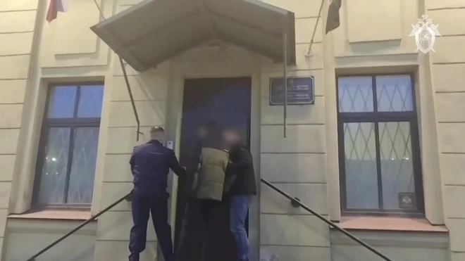 В Петербурге задержан еще один подозреваемый в совершении нападения на прохожих
