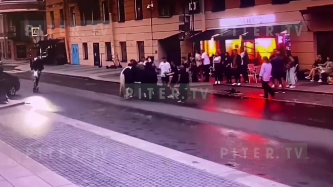 Появилось видео избиения лошади в центре Петербурга