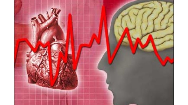 Как обезопасить себя от болезней сердца? Советы Александра Карпухина