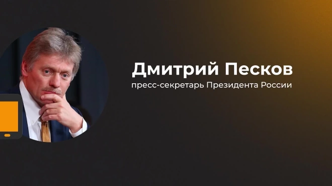 Песков: Зеленский готовился к войне и перестал быть возможным собеседником для Путина