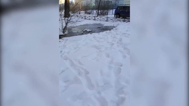 На Дыбенко забил горячий источник: публикуем видео очередного прорыва трубы