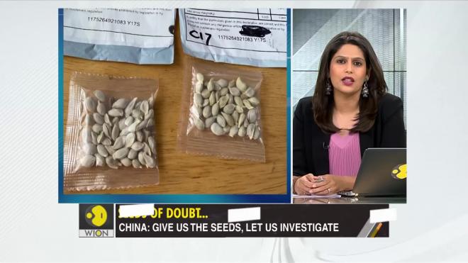 Жители США получили странные посылки с семенами из Китая 