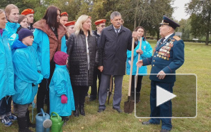 В Пискаревском парке в рамках акции "Лес Победы" высадили 75 елей В Пискаревском парке в рамках акции "Лес Победы" высадили 75 елей