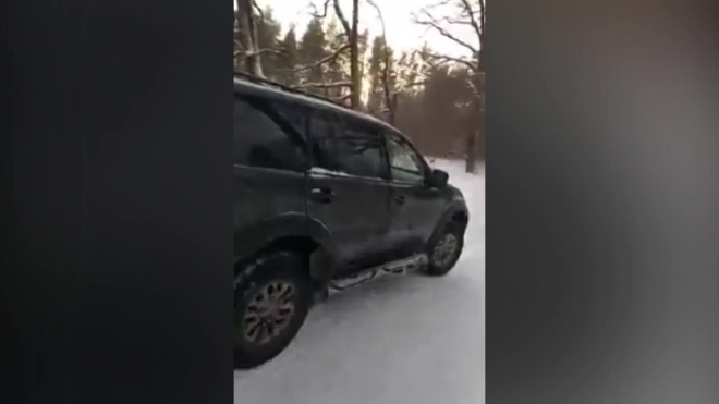 В Петергофе водитель "Мицубиси" внаглую катался по парку-зверинцу "Александрия"