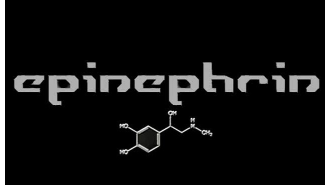 Epinephrin - Shizophren