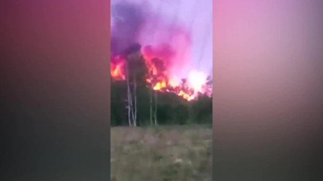 Видео: в Янино произошел пожар на территории МПБО-2