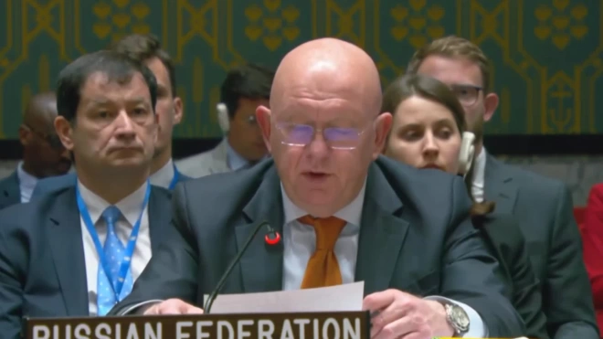 СБ ООН не принял резолюцию РФ о снятии санкций с Мали в сентябре 2024 года