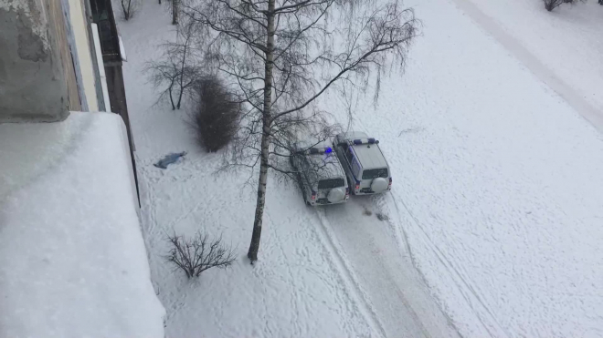 По окнами на Алпийском утром нашли труп