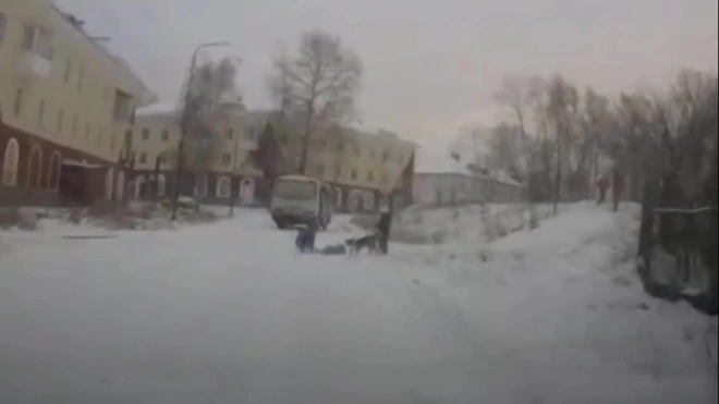 В Свердловской области девочка скатилась на ледянке под колеса автобуса