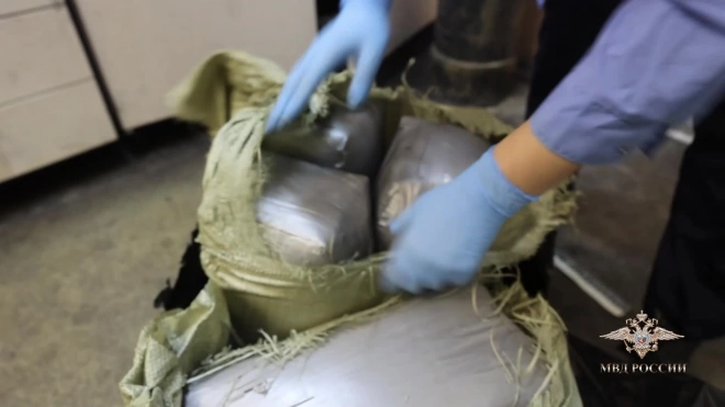 В Ленобласти сотрудники ГИБДД нашли в машине более 120 кг гашиша
