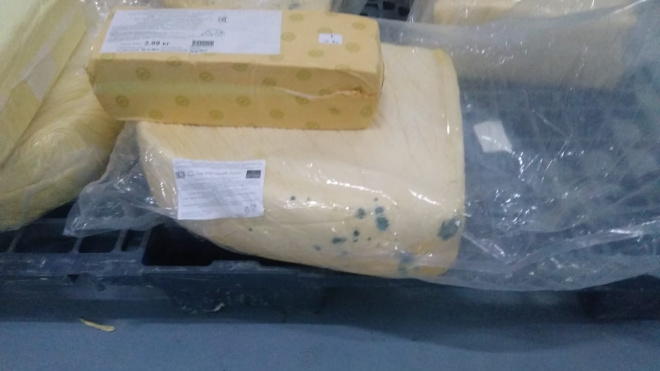 В Подмосковье изъяли 10 тонн сыра с кишечной палочкой, который делали из просроченных сыров