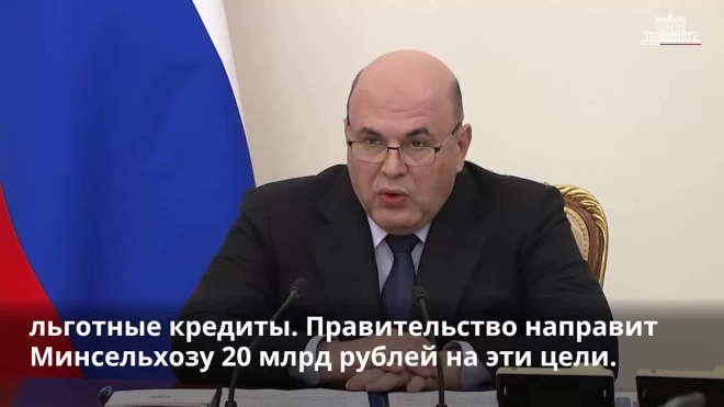 Правительство направит 20 млрд рублей на предоставление льготных кредитов аграриям