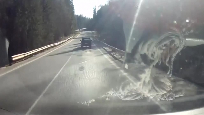 Видео, где старый живодер привязал собаку к машине и поехал, шокировало россиян