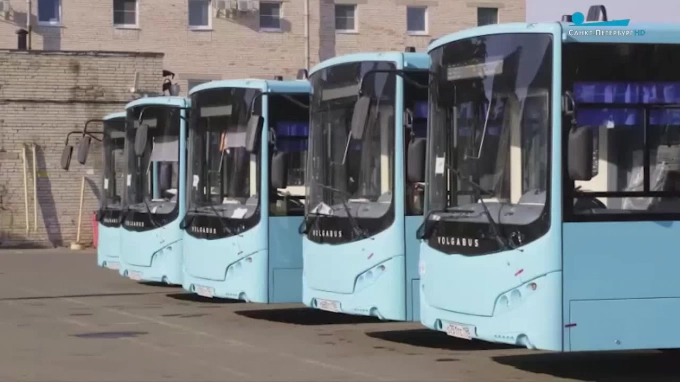 В Петербурге пустят 50 новых автобусов 