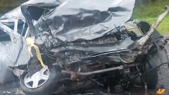 На 68 км автодороги "Нарва" в Ленобласти погиб водитель Лады