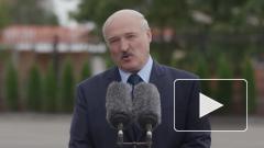 В Минске назвали поспешным решение стран Балтии о санкциях в отношении Лукашенко