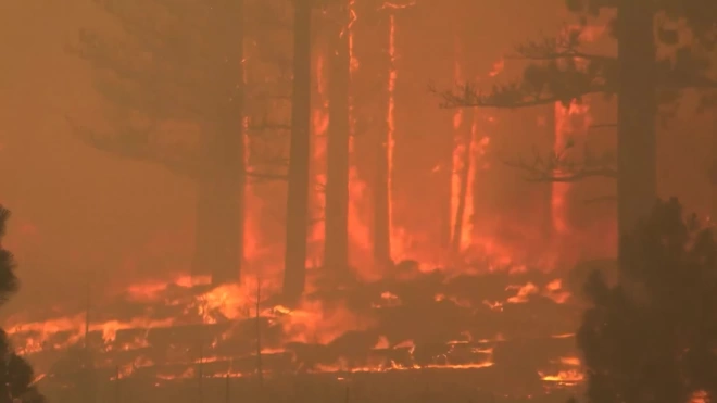 На западе США бушуют десятки лесных пожаров