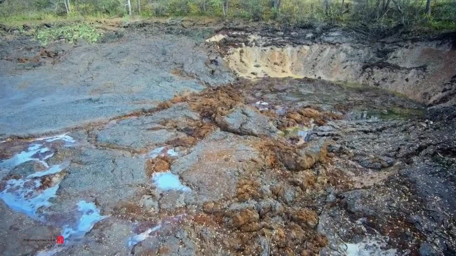 Видео: во Владимирской области целое озеро с рыбой и водорослями ушло под землю