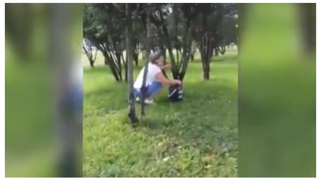 Видео: учителей Татарстана заставляют мыть деревья