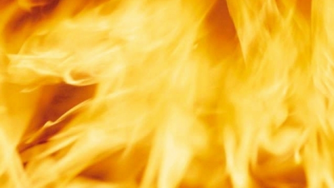 Пожар во Всеволожском районе: трое несовершеннолетних сгорели заживо, празднуя день рождения, именинник спасся