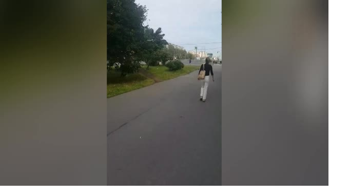 В Купчино наблюдатели устроили погоню за урной для надомного голосования