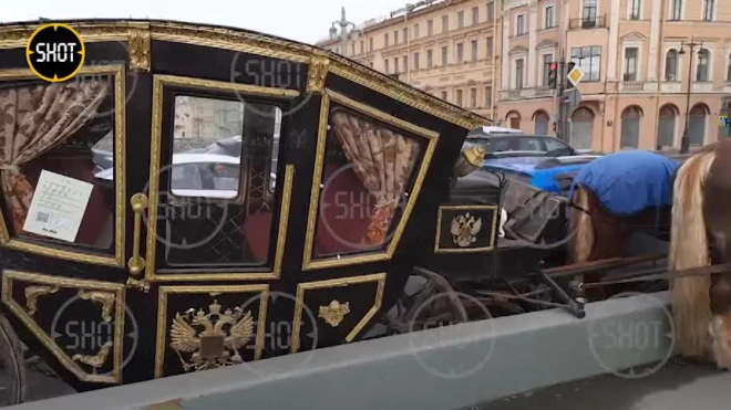 Видео: карета и автомобиль столкнулись на Благовещенском мосту