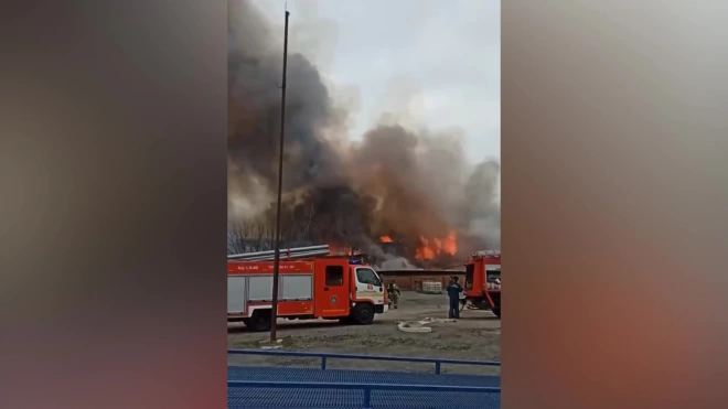 Площадь пожара в Ростовской области составила тысячу квадратных метров