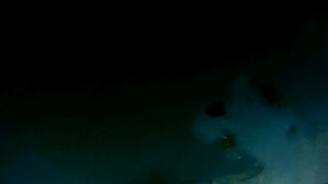 Редактор GoPro видео