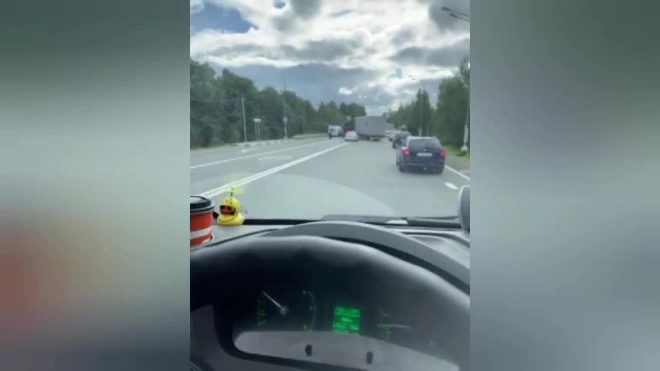 В лобовом ДТП на Киевском шоссе погибла женщина-водитель