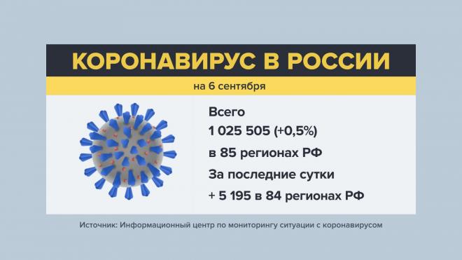 В России за сутки зафиксировано 5 195 новых случаев заражения коронавирусом 